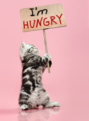 Similar image 9115163