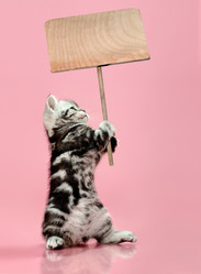 Similar image 9115181