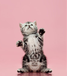 Similar image 9115191