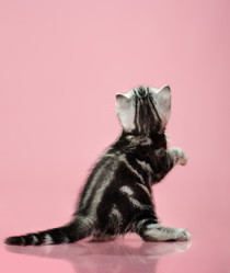 Similar image 9115246