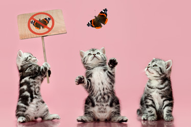 Similar image 9115359