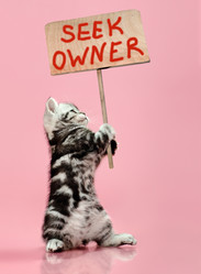 Similar image 9115465