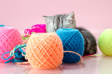 Similar image 9115546