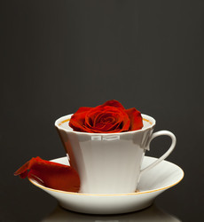 Similar image 9115837