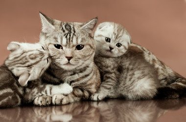 Similar image 9115930