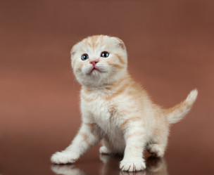 Similar image 9115941