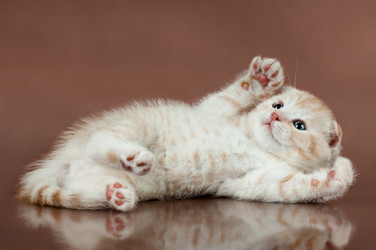 Similar image 9115944