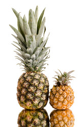 Similar image 9116251