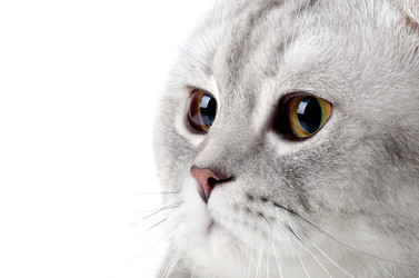 Similar image 9116379