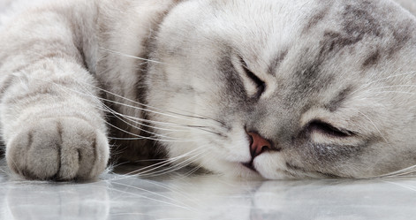 Similar image 9116390