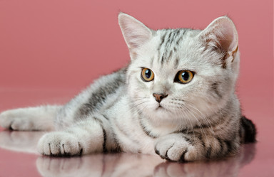 Similar image 9116479