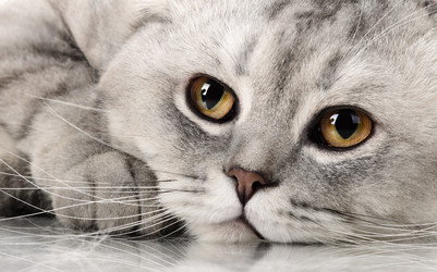 Similar image 9116543