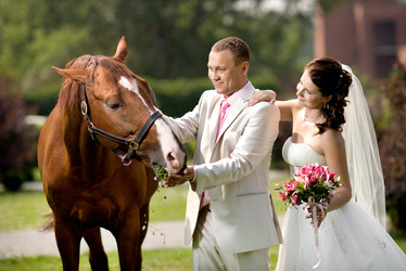 Similar image 9116621