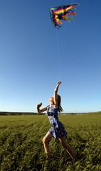 Similar image 9116653