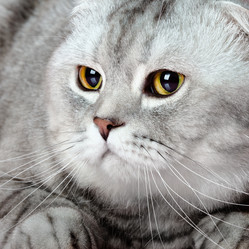 Similar image 9116740