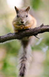 Similar image 9116749