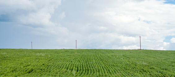 Similar image 9145495