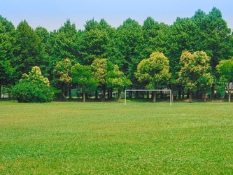 Similar image 9146717