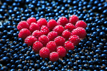 Similar image 9149634