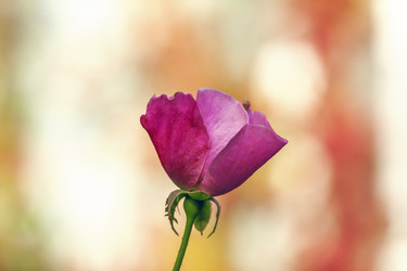 Similar image 9150448