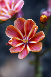 Similar image 9150451