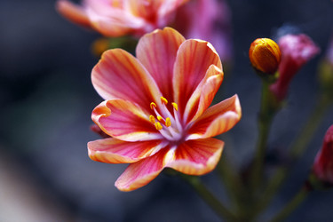 Similar image 9150452