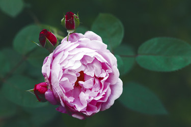 Similar image 9150455