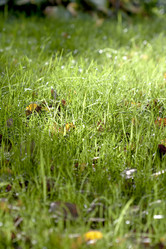 Similar image 9150456