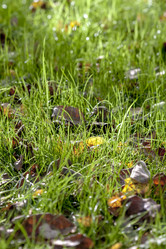 Similar image 9150459