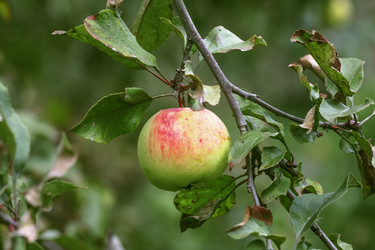 Similar image 9150461