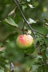 Similar image 9150463