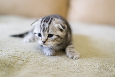 Similar image 9150873