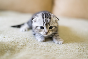 Similar image 9150874