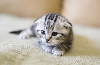 Similar image 9150876