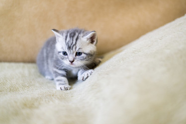 Similar image 9150877