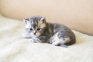 Similar image 9150883