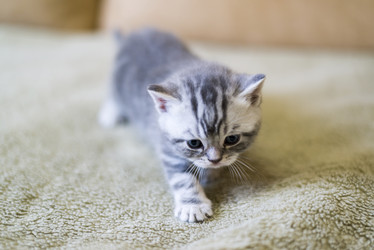 Similar image 9150885