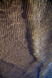 Similar image 9150954