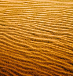 Similar image 9151278