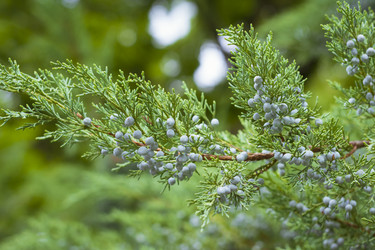 Similar image 9151512