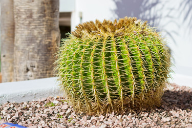 Similar image 9151514