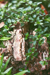 Similar image 9152093