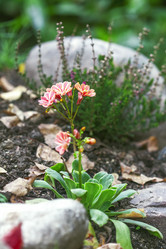 Similar image 9152096