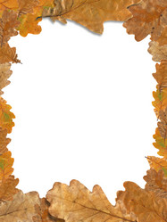 Similar image 9152108