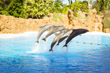 Similar image 9152717