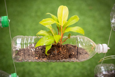 Similar image 9152792