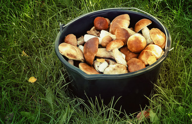 Similar image 9153301