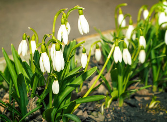 Similar image 9153307