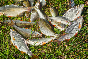 Similar image 9153317