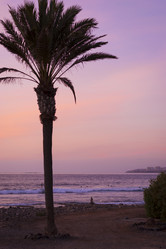 Similar image 9153821